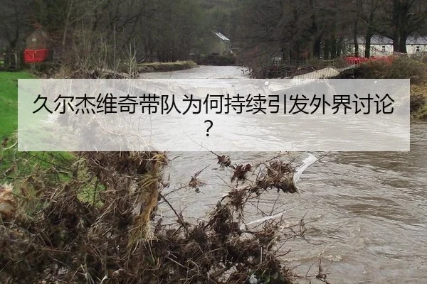 久尔杰维奇带队为何持续引发外界讨论？